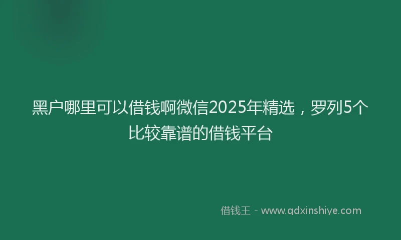 黑户哪里可以借钱啊微信2025年精选，罗列5个比较靠谱的借钱平台