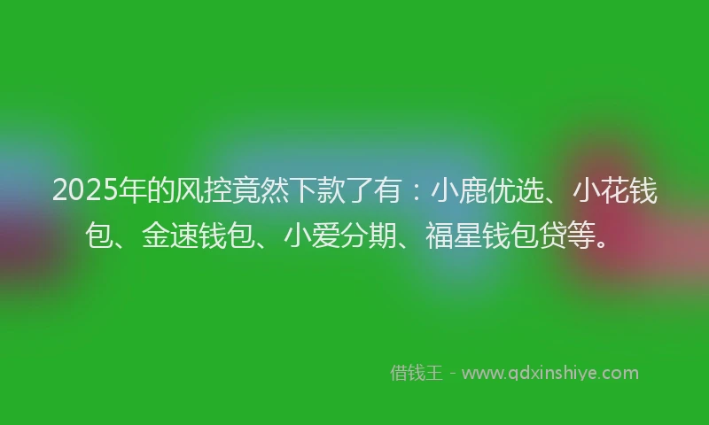 2025年的风控竟然下款了有：小鹿优选、小花钱包、金速钱包、小爱分期、福星钱包贷等。