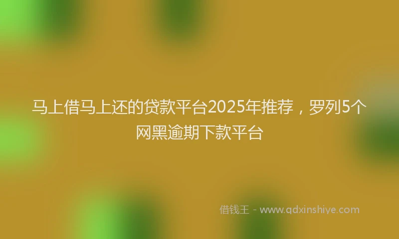 马上借马上还的贷款平台2025年推荐，罗列5个网黑逾期下款平台