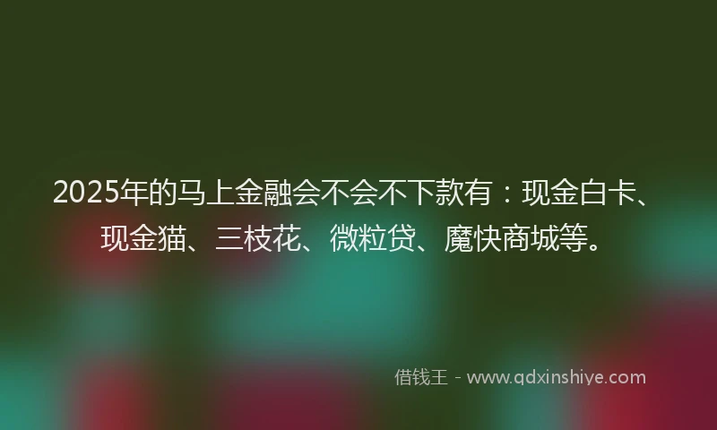 2025年的马上金融会不会不下款有：现金白卡、现金猫、三枝花、微粒贷、魔快商城等。