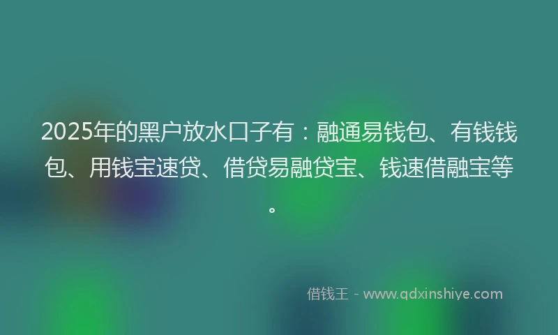 2025年的黑户放水口子有：融通易钱包、有钱钱包、用钱宝速贷、借贷易融贷宝、钱速借融宝等。