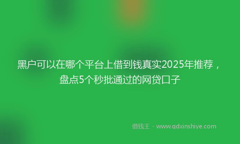 黑户可以在哪个平台上借到钱真实2025年推荐，盘点5个秒批通过的网贷口子