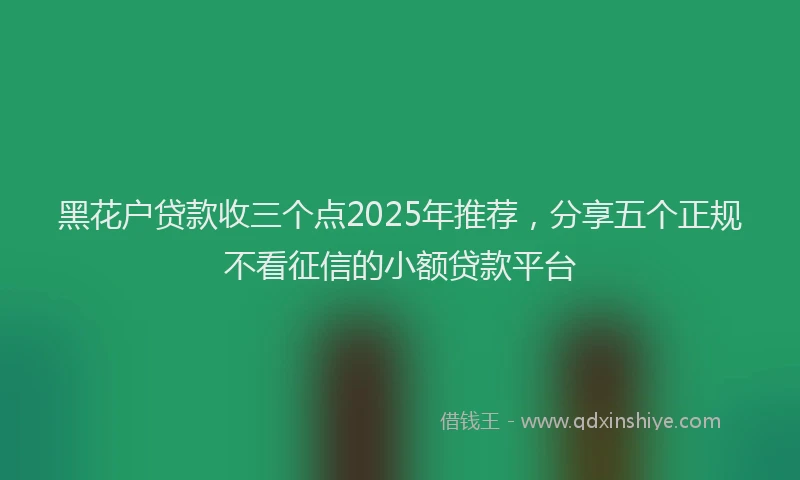 黑花户贷款收三个点2025年推荐，分享五个正规不看征信的小额贷款平台
