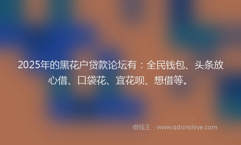 2025年的黑花户贷款论坛有：全民钱包、头条放心借、口袋花、宜花呗、想借等。