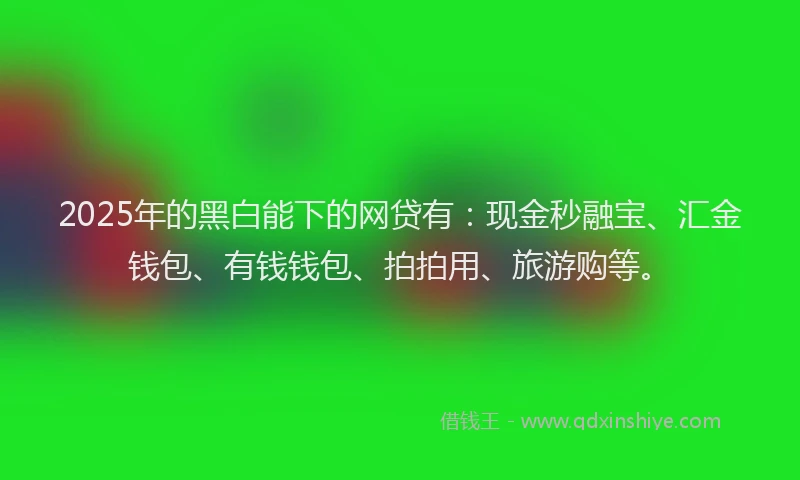 2025年的黑白能下的网贷有：现金秒融宝、汇金钱包、有钱钱包、拍拍用、旅游购等。