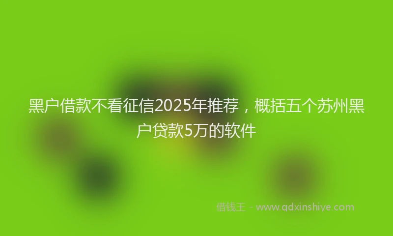 黑户借款不看征信2025年推荐，概括五个苏州黑户贷款5万的软件
