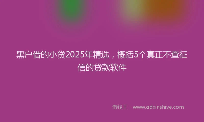 黑户借的小贷2025年精选，概括5个真正不查征信的贷款软件