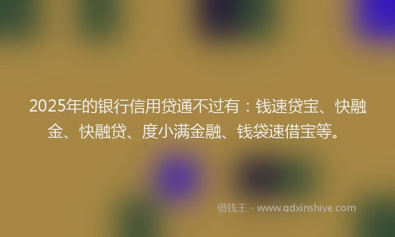 2025年的银行信用贷通不过有：钱速贷宝、快融金、快融贷、度小满金融、钱袋速借宝等。