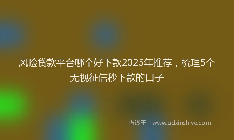 风险贷款平台哪个好下款2025年推荐，梳理5个无视征信秒下款的口子