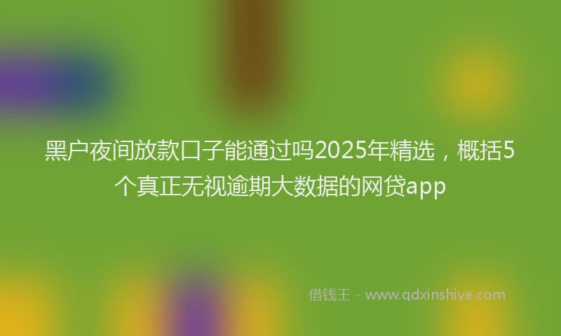 黑户夜间放款口子能通过吗2025年精选，概括5个真正无视逾期大数据的网贷app
