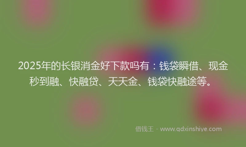 2025年的长银消金好下款吗有：钱袋瞬借、现金秒到融、快融贷、天天金、钱袋快融途等。