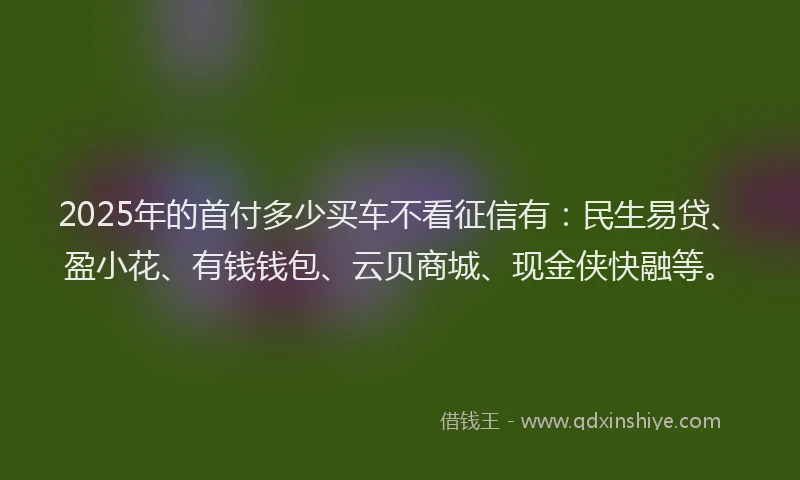 2025年的首付多少买车不看征信有：民生易贷、盈小花、有钱钱包、云贝商城、现金侠快融等。