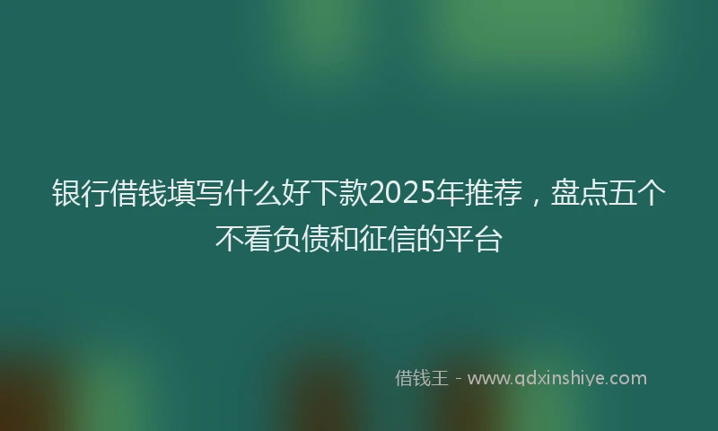 银行借钱填写什么好下款2025年推荐，盘点五个不看负债和征信的平台