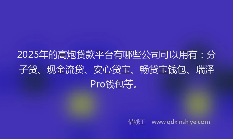 2025年的高炮贷款平台有哪些公司可以用有：分子贷、现金流贷、安心贷宝、畅贷宝钱包、瑞泽Pro钱包等。