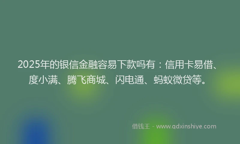 2025年的银信金融容易下款吗有：信用卡易借、度小满、腾飞商城、闪电通、蚂蚁微贷等。