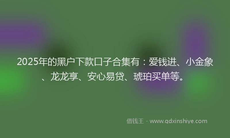 2025年的黑户下款口子合集有：爱钱进、小金象、龙龙享、安心易贷、琥珀买单等。
