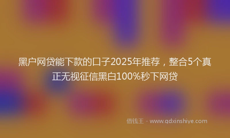 黑户网贷能下款的口子2025年推荐，整合5个真正无视征信黑白100%秒下网贷