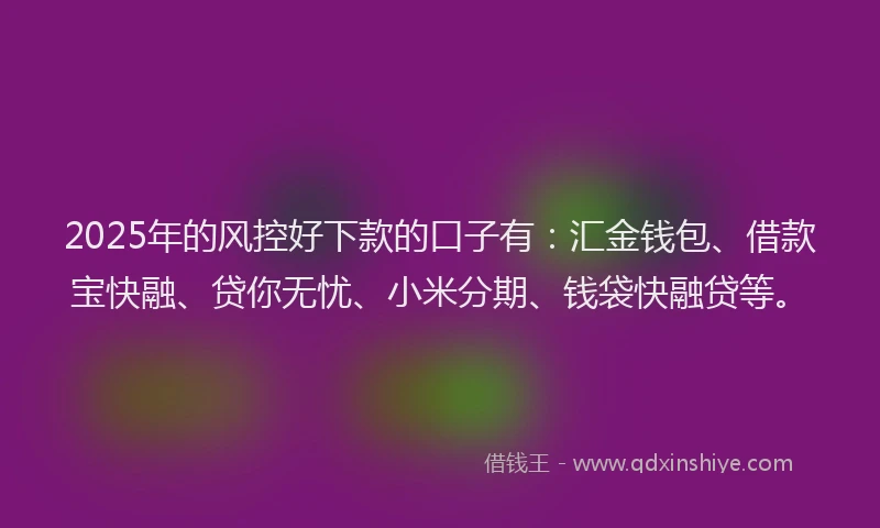 2025年的风控好下款的口子有：汇金钱包、借款宝快融、贷你无忧、小米分期、钱袋快融贷等。