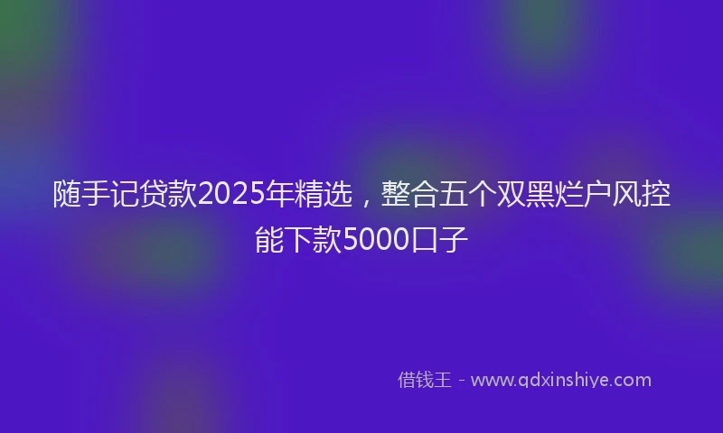 随手记贷款2025年精选，整合五个双黑烂户风控能下款5000口子