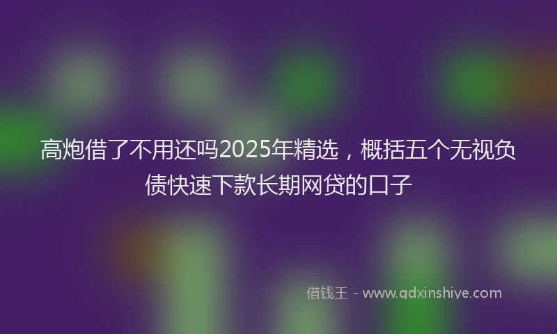 高炮借了不用还吗2025年精选，概括五个无视负债快速下款长期网贷的口子