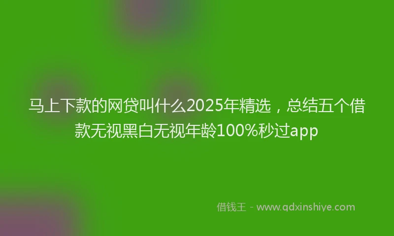 马上下款的网贷叫什么2025年精选，总结五个借款无视黑白无视年龄100%秒过app