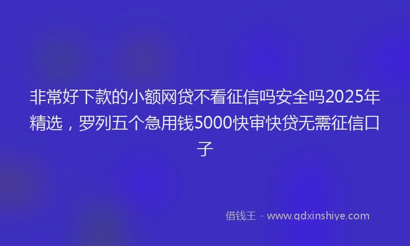 非常好下款的小额网贷不看征信吗安全吗2025年精选，罗列五个急用钱5000快审快贷无需征信口子