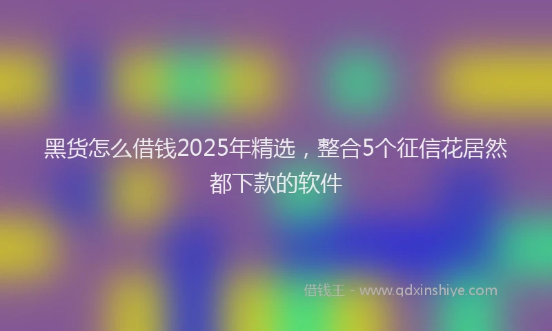 黑货怎么借钱2025年精选，整合5个征信花居然都下款的软件