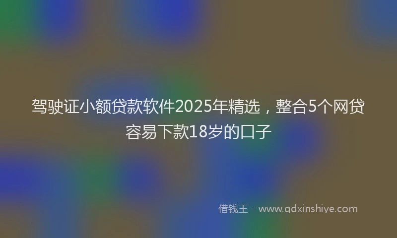 驾驶证小额贷款软件2025年精选，整合5个网贷容易下款18岁的口子