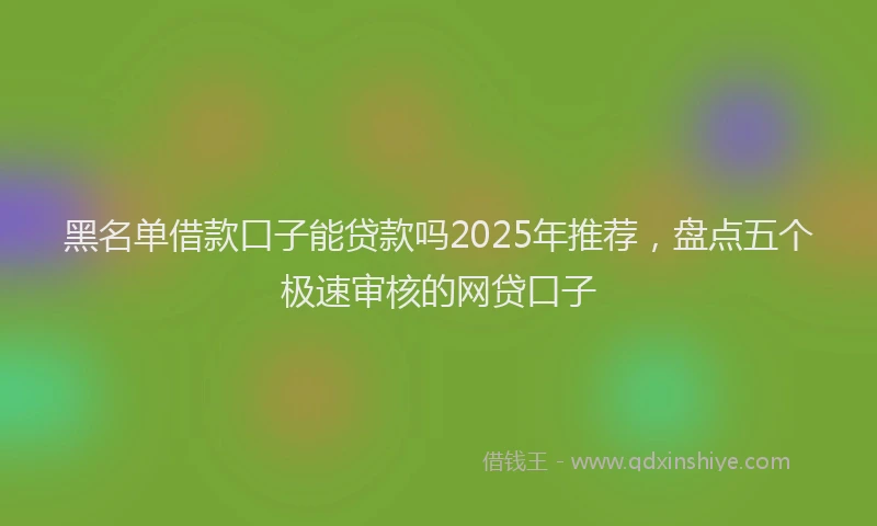 黑名单借款口子能贷款吗2025年推荐，盘点五个极速审核的网贷口子