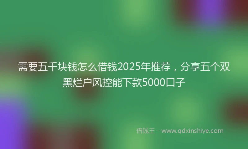 需要五千块钱怎么借钱2025年推荐，分享五个双黑烂户风控能下款5000口子