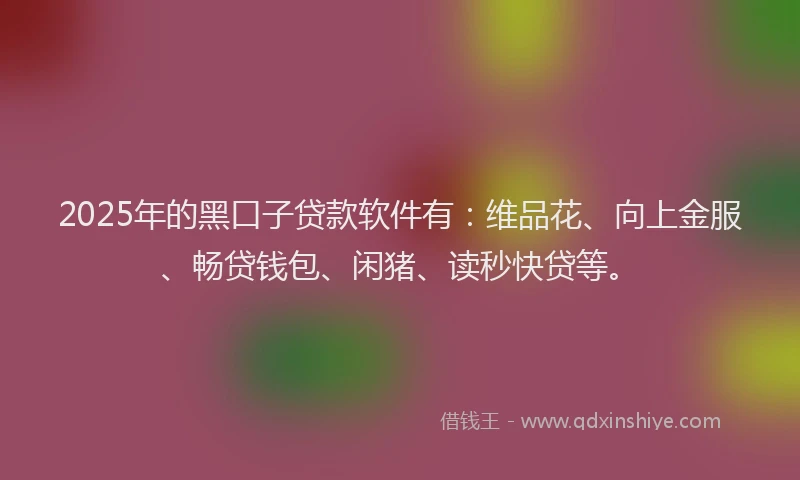 2025年的黑口子贷款软件有：维品花、向上金服、畅贷钱包、闲猪、读秒快贷等。