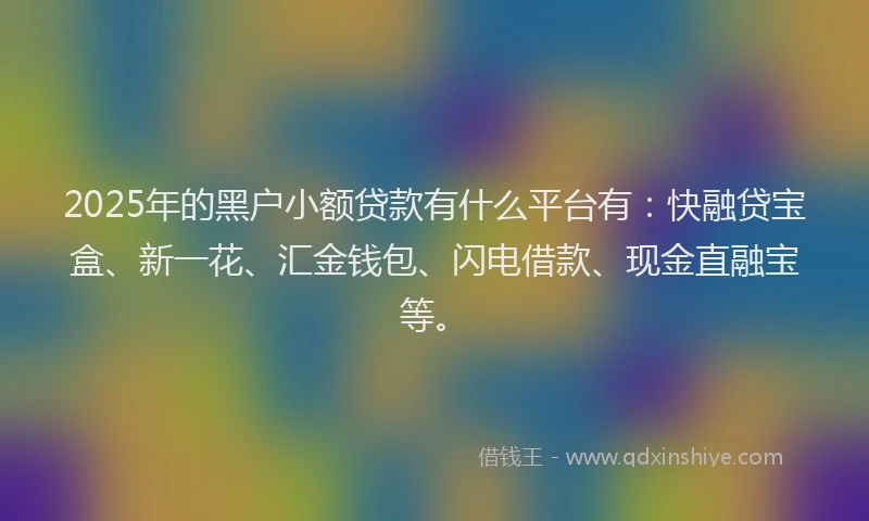 2025年的黑户小额贷款有什么平台有：快融贷宝盒、新一花、汇金钱包、闪电借款、现金直融宝等。