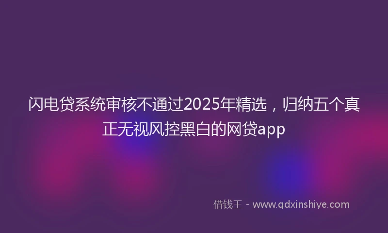 闪电贷系统审核不通过2025年精选，归纳五个真正无视风控黑白的网贷app