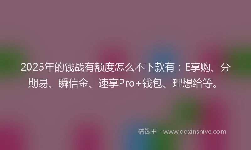 2025年的钱战有额度怎么不下款有：E享购、分期易、瞬信金、速享Pro+钱包、理想给等。