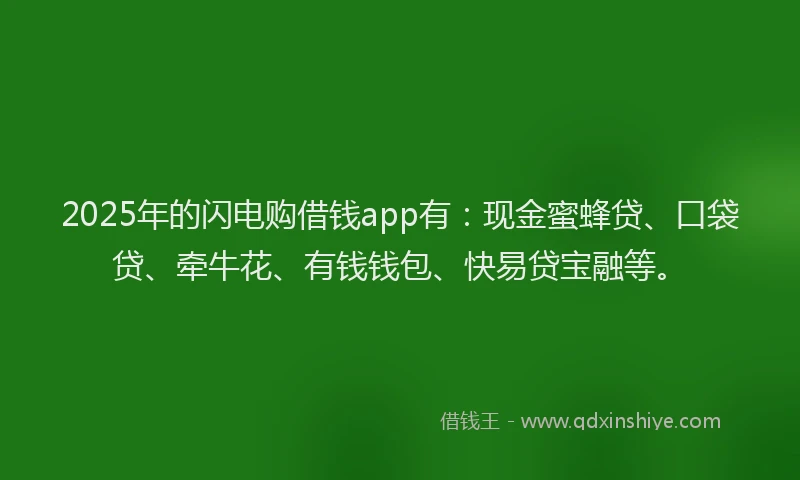 2025年的闪电购借钱app有：现金蜜蜂贷、口袋贷、牵牛花、有钱钱包、快易贷宝融等。