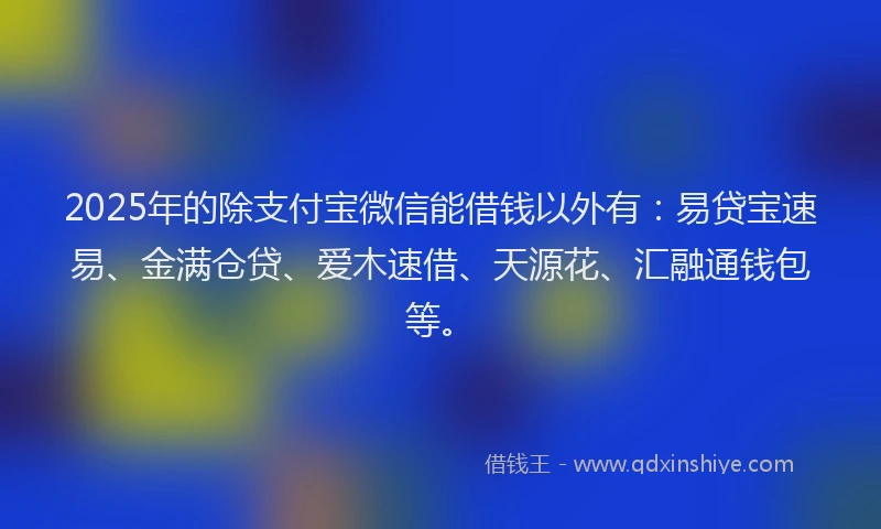 2025年的除支付宝微信能借钱以外有：易贷宝速易、金满仓贷、爱木速借、天源花、汇融通钱包等。