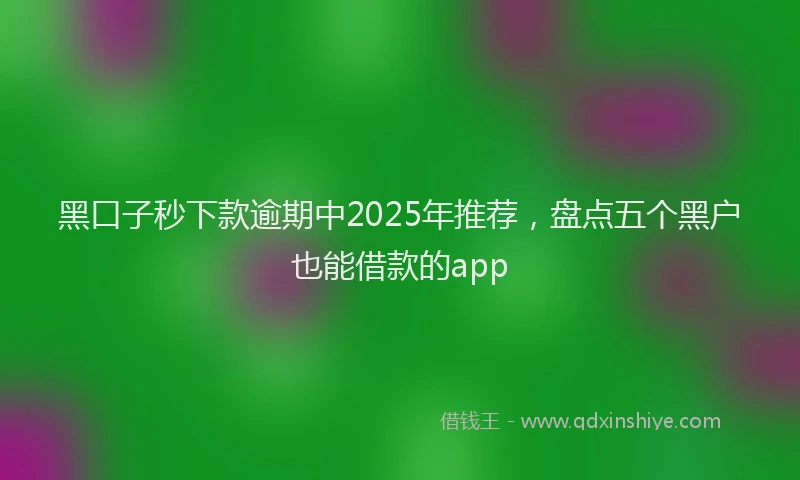 黑口子秒下款逾期中2025年推荐，盘点五个黑户也能借款的app
