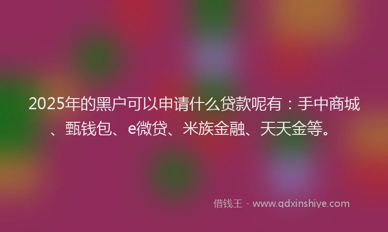 2025年的黑户可以申请什么贷款呢有：手中商城、甄钱包、e微贷、米族金融、天天金等。