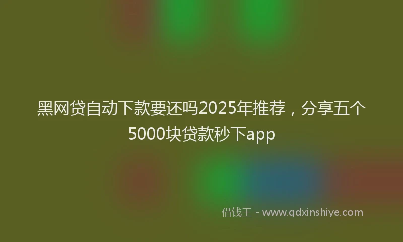 黑网贷自动下款要还吗2025年推荐，分享五个5000块贷款秒下app