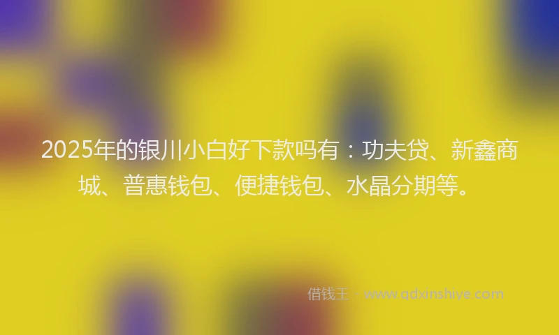 2025年的银川小白好下款吗有：功夫贷、新鑫商城、普惠钱包、便捷钱包、水晶分期等。