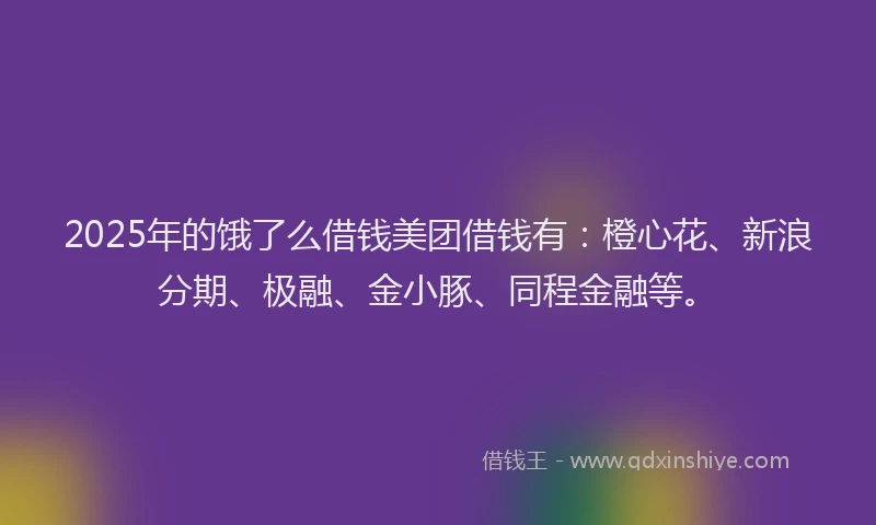 2025年的饿了么借钱美团借钱有：橙心花、新浪分期、极融、金小豚、同程金融等。