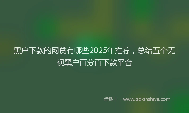 黑户下款的网贷有哪些2025年推荐，总结五个无视黑户百分百下款平台