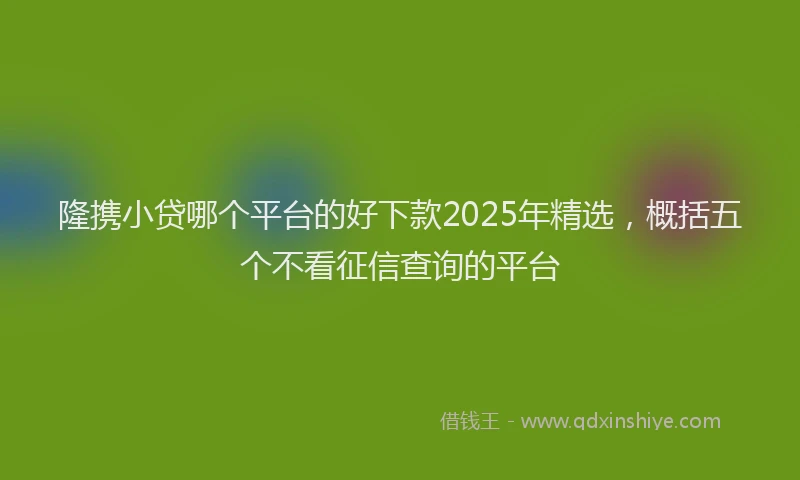 隆携小贷哪个平台的好下款2025年精选，概括五个不看征信查询的平台