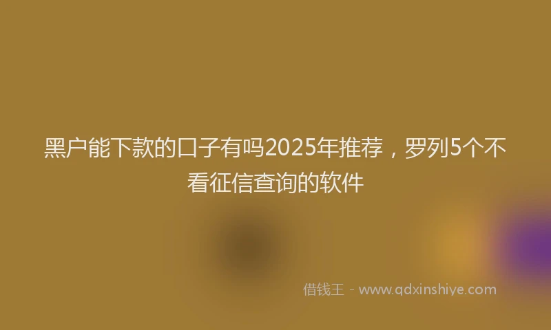 黑户能下款的口子有吗2025年推荐，罗列5个不看征信查询的软件