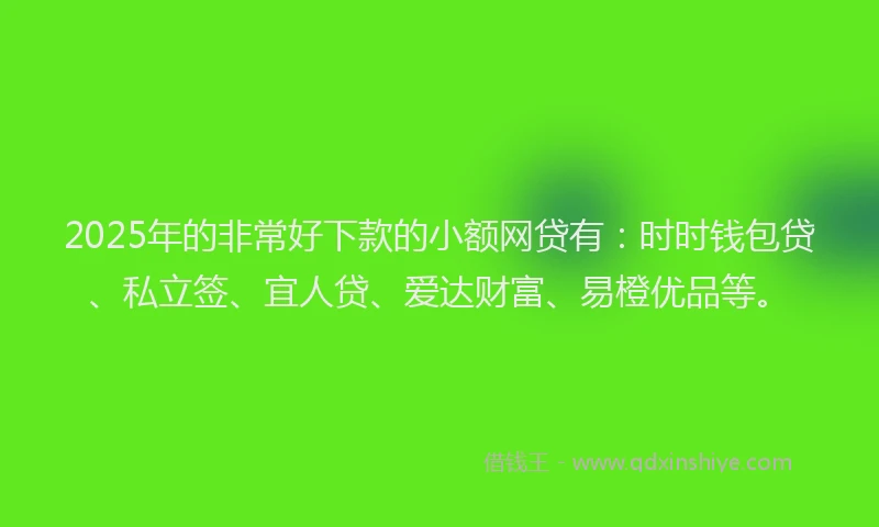 2025年的非常好下款的小额网贷有：时时钱包贷、私立签、宜人贷、爱达财富、易橙优品等。