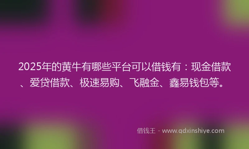 2025年的黄牛有哪些平台可以借钱有：现金借款、爱贷借款、极速易购、飞融金、鑫易钱包等。