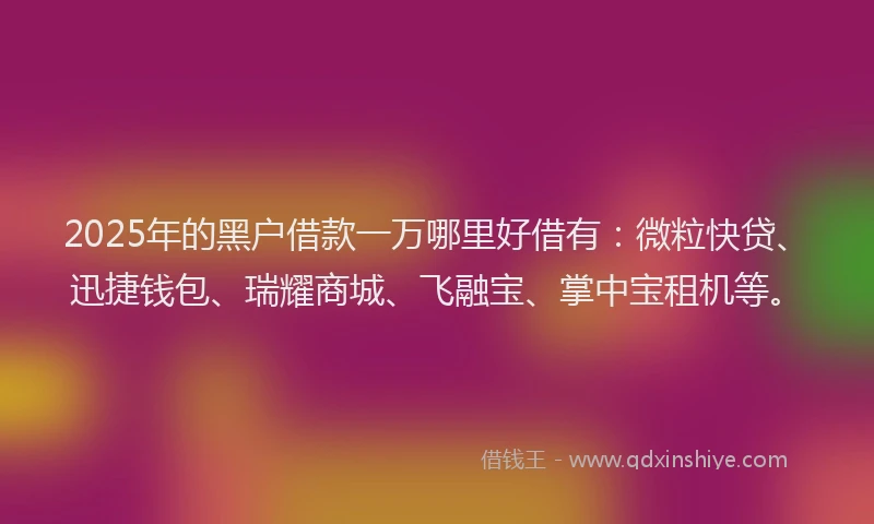 2025年的黑户借款一万哪里好借有：微粒快贷、迅捷钱包、瑞耀商城、飞融宝、掌中宝租机等。