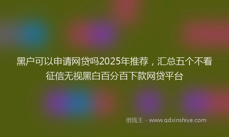 黑户可以申请网贷吗2025年推荐，汇总五个不看征信无视黑白百分百下款网贷平台
