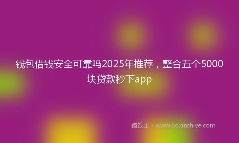 钱包借钱安全可靠吗2025年推荐，整合五个5000块贷款秒下app