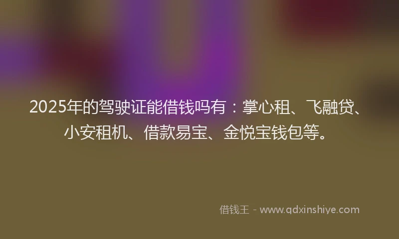 2025年的驾驶证能借钱吗有：掌心租、飞融贷、小安租机、借款易宝、金悦宝钱包等。
